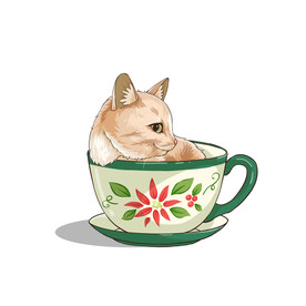 茶杯猫            