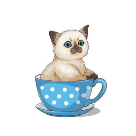 茶杯猫            