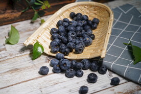 蓝莓