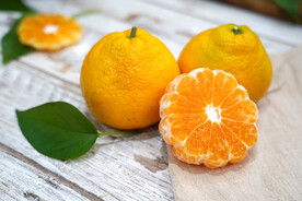 丑橘 橘子 桔子