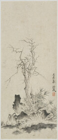 松树  