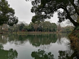 西溪