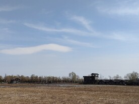 冬季蓝天白云芦苇地房屋