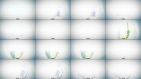 ae模板 文字动画 影视特效 