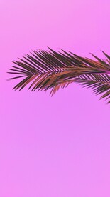 紫色背景 