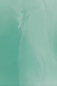 绿色背景