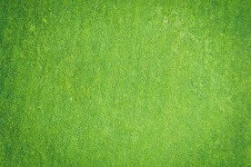 绿色背景  