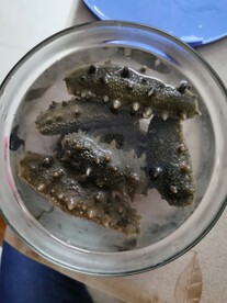 泡发海参