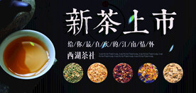 简洁大气高档新茶春茶上市海报