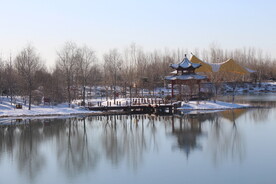 雪景