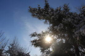 雪