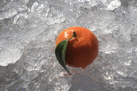 碎冰橙