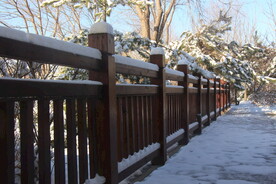 雪