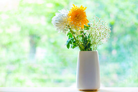 菊花 窗台上的花瓶