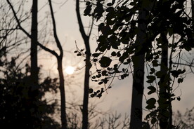 日落风景