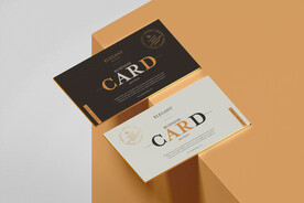 名片卡片样机实物展示效果图