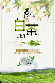 中国风白茶铁观音春茶上市促销