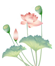 荷花水墨画