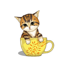 茶杯猫            