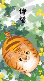  萌主猫           