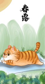  萌主猫           