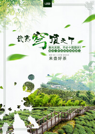 茶叶茶园武夷山春茶上市海报