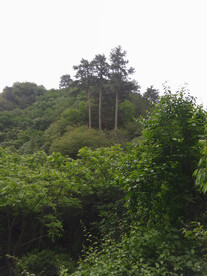 金顶妙峰山