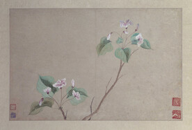 花鸟画 