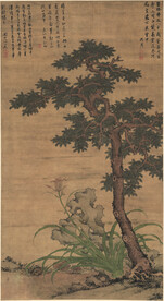 松树  