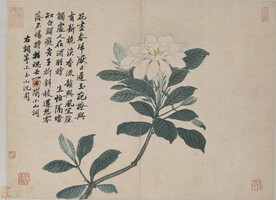 花鸟画  