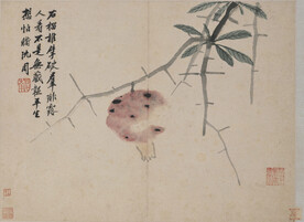  花鸟画  
