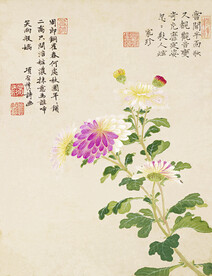 花鸟画  