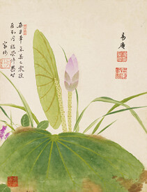 花鸟画  