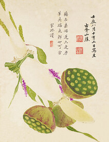 花鸟画  