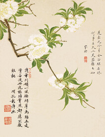 花鸟画 