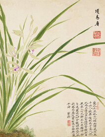 兰花图 花鸟画  