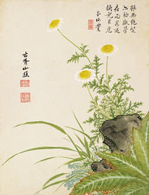 花鸟画  