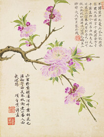 花鸟画  