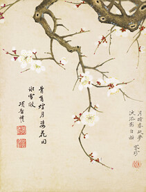 花鸟画  
