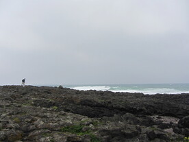 海景