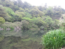 湖光山色