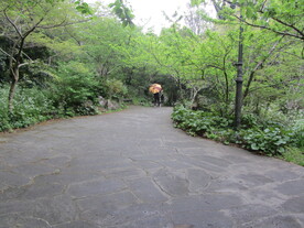风景图