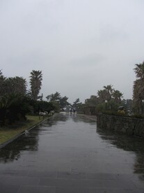 风景图片
