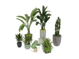 植物盆栽3d模型