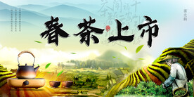 春茶上市