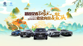 龙抬头汽车团购会