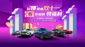 双十一汽车团购会