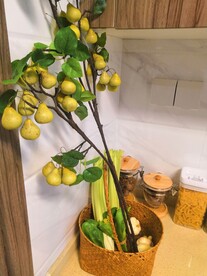 饰品