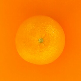橙子