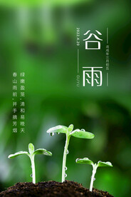 谷雨节气海报